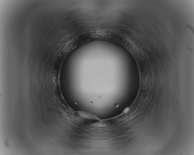 X0000097470749200802291310