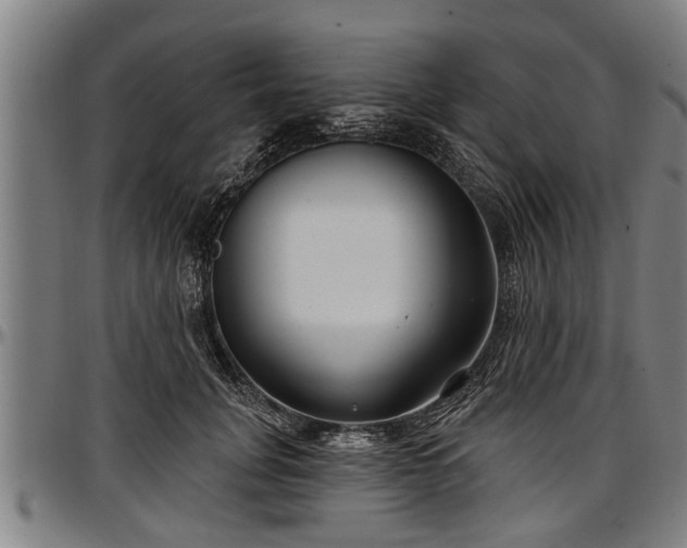 X0000097470751200802291310