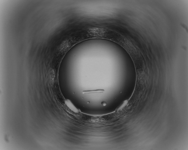 X0000097470752200802291310