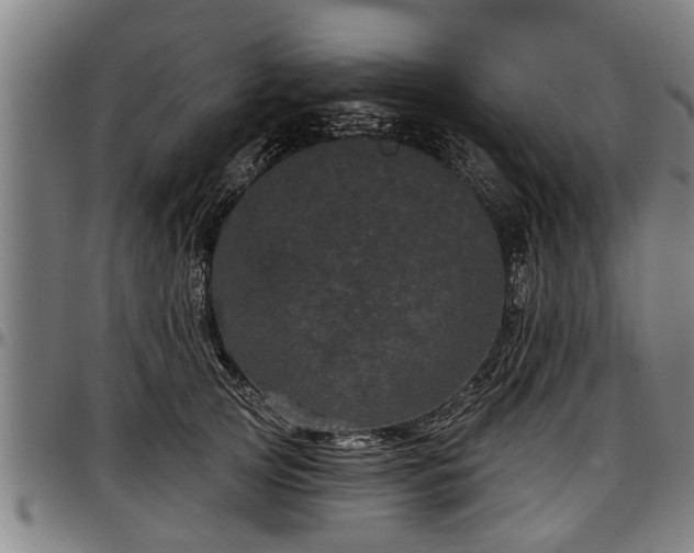 X0000097470753200802291310