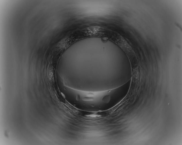 X0000097470754200802291310
