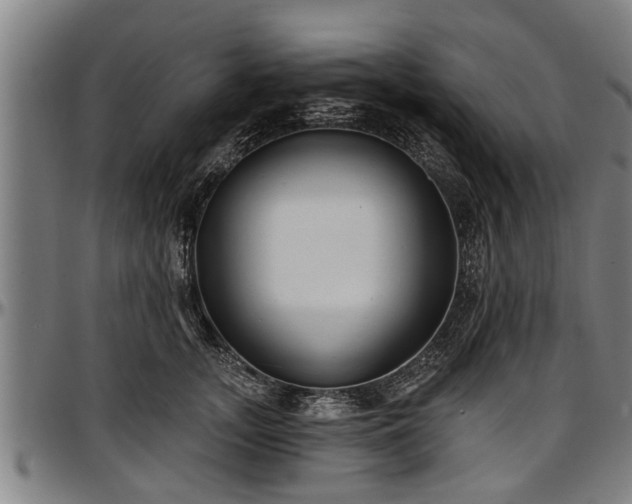 X0000097470755200802291310