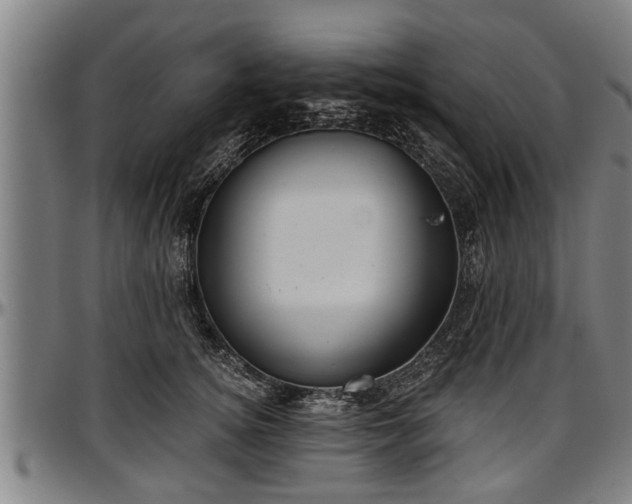 X0000097470756200802291310