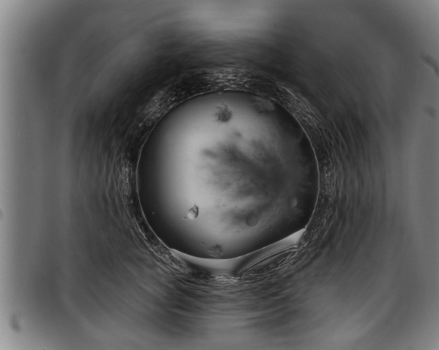 X0000097470757200802291310