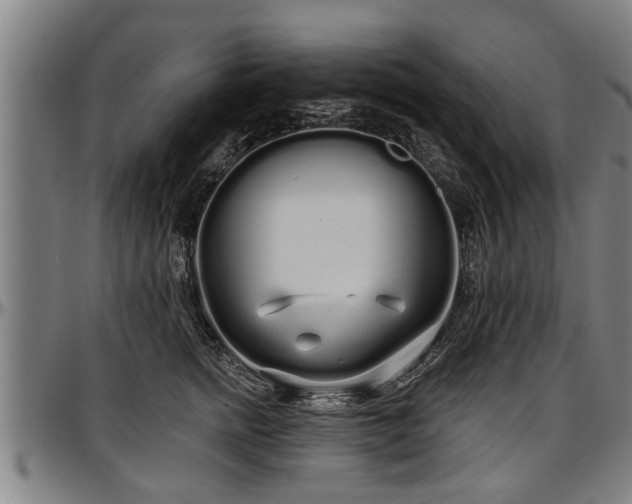 X0000097470758200802291310