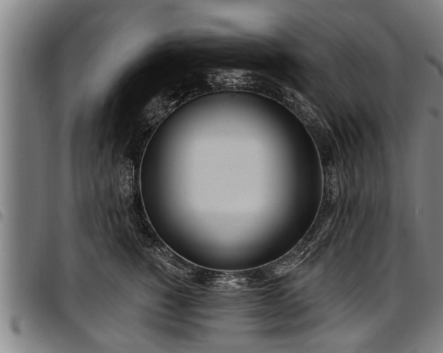 X0000097470760200802291310