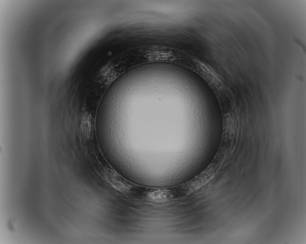 X0000097470761200802291310