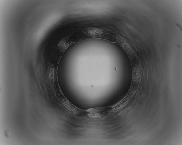 X0000097470762200802291310