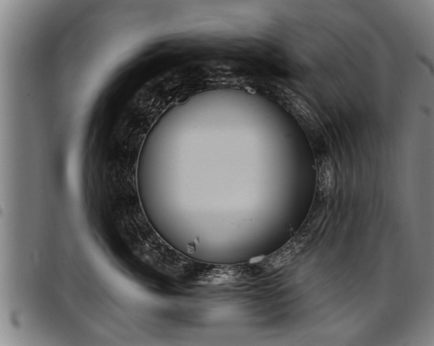 X0000097470764200802291310