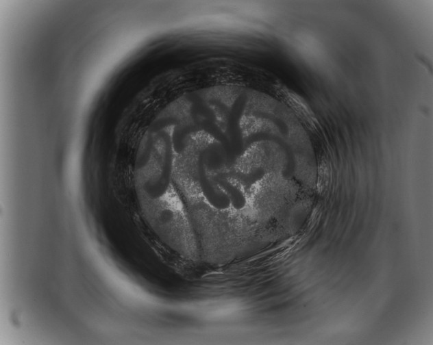 X0000097470765200802291310