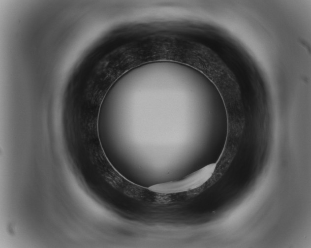 X0000097470766200802291310