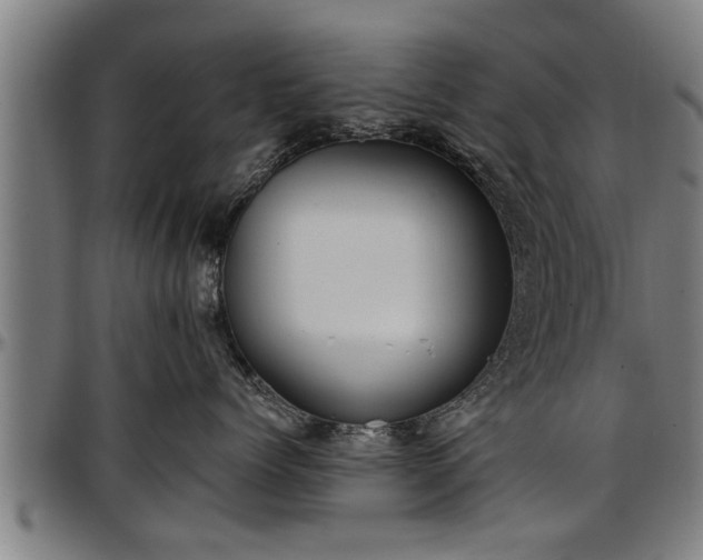 X0000097470768200802291311