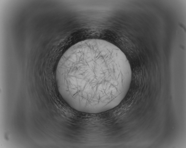 X0000097470769200802291310
