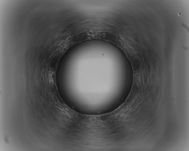 X0000097470770200802291310