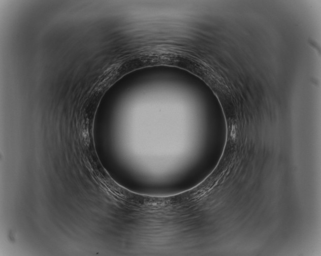 X0000097470771200802291310