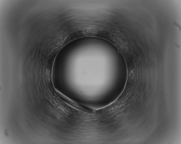 X0000097470772200802291310