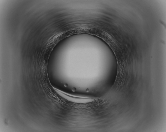 X0000097470773200802291310