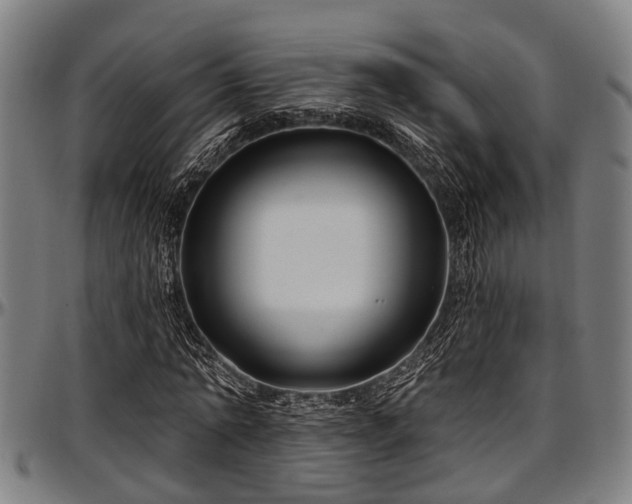 X0000097470774200802291310