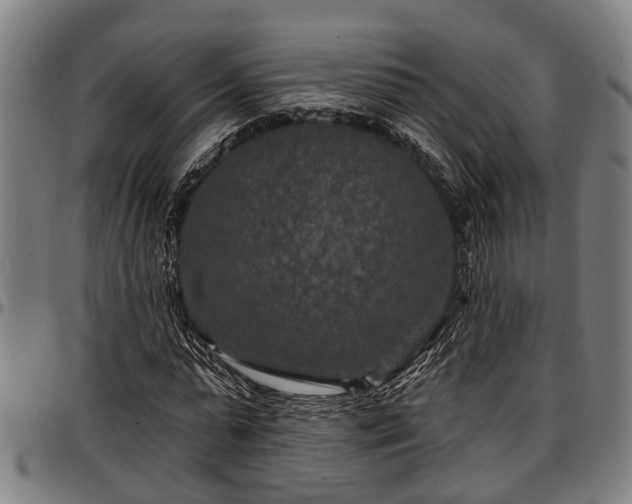 X0000097470775200802291310