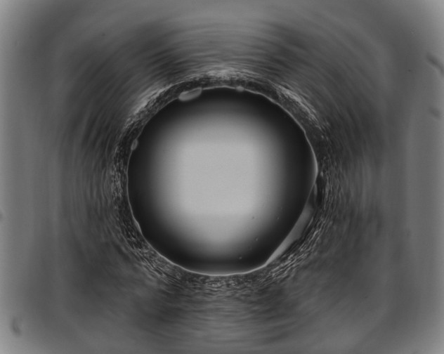 X0000097470776200802291310
