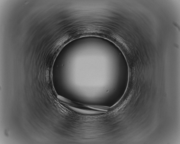 X0000097470777200802291310