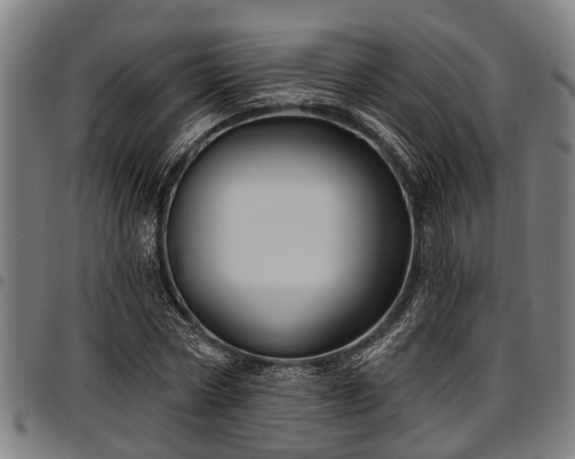 X0000097470778200802291310