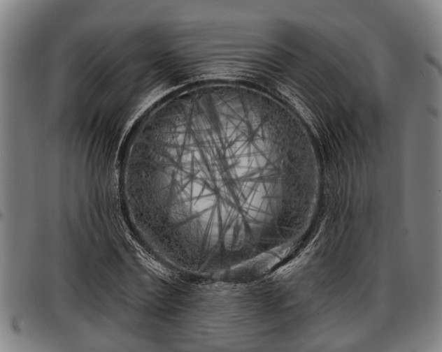 X0000097470779200802291310