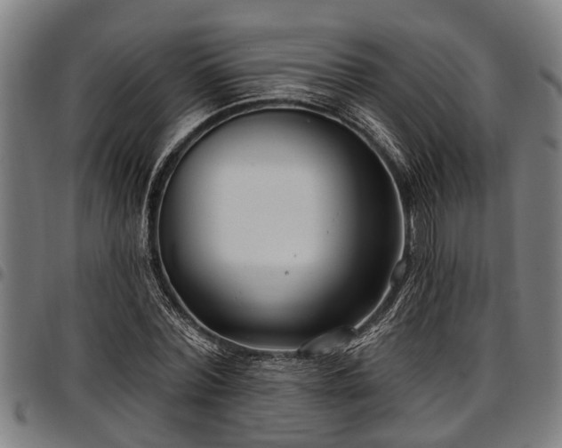 X0000097470780200802291310