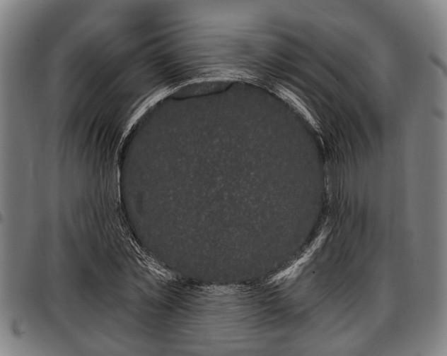 X0000097470781200802291309