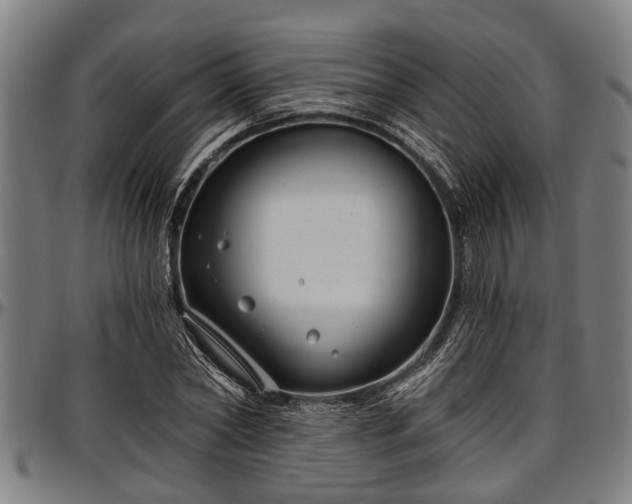 X0000097470782200802291309