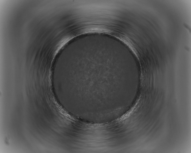 X0000097470783200802291309