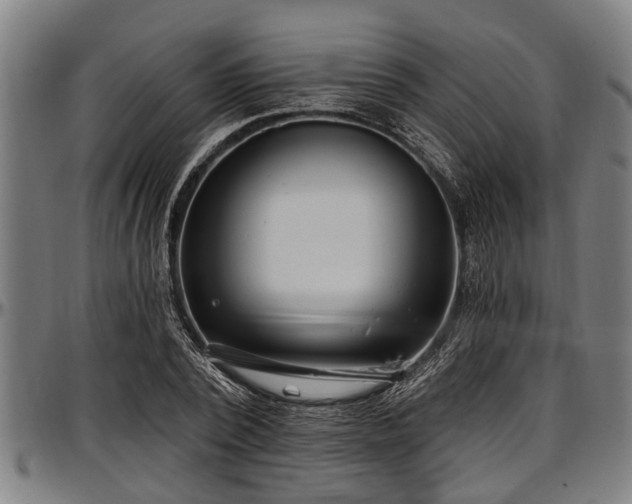 X0000097470784200802291309