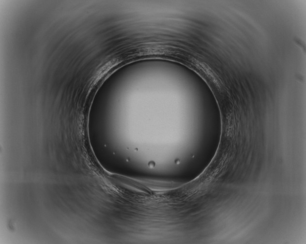X0000097470786200802291309