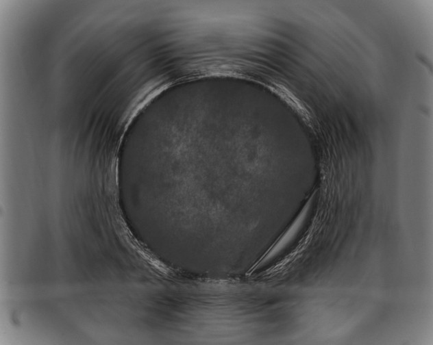 X0000097470790200802291309