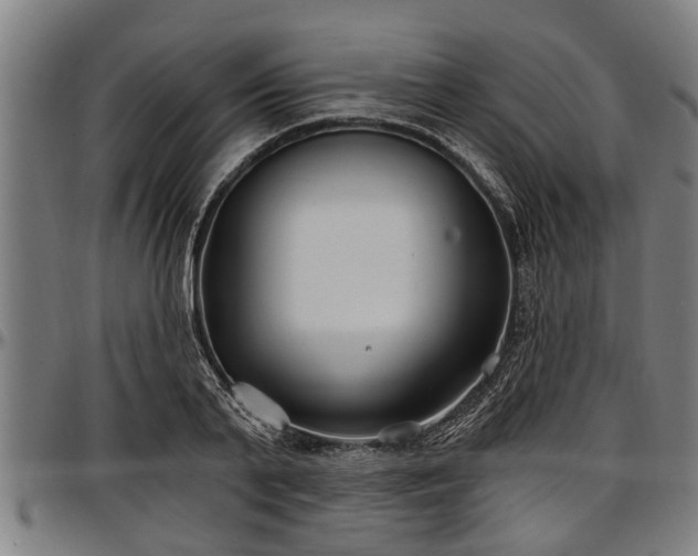 X0000097470791200802291309