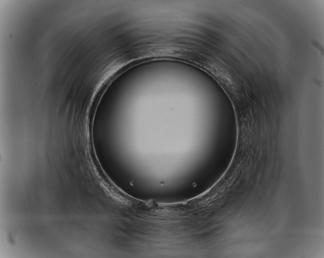 X0000097470792200802291309