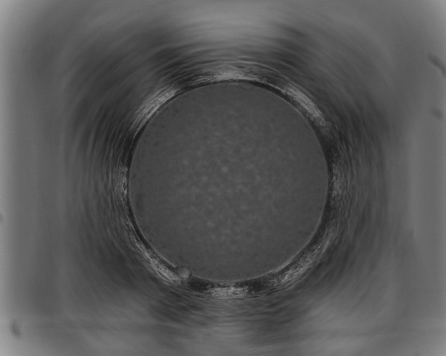 X0000097470793200802291309