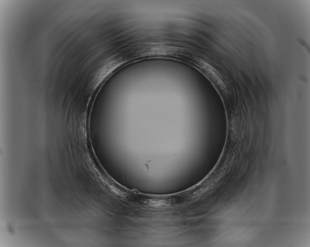 X0000097470794200802291309