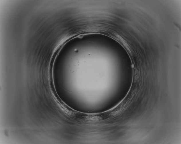 X0000097470795200802291309