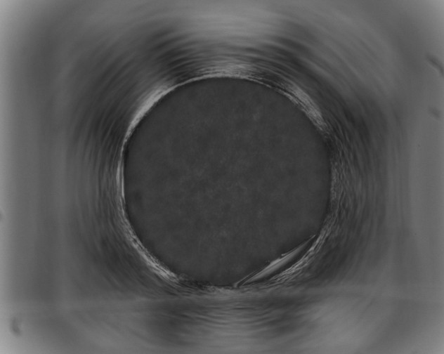 X0000097470796200802291309