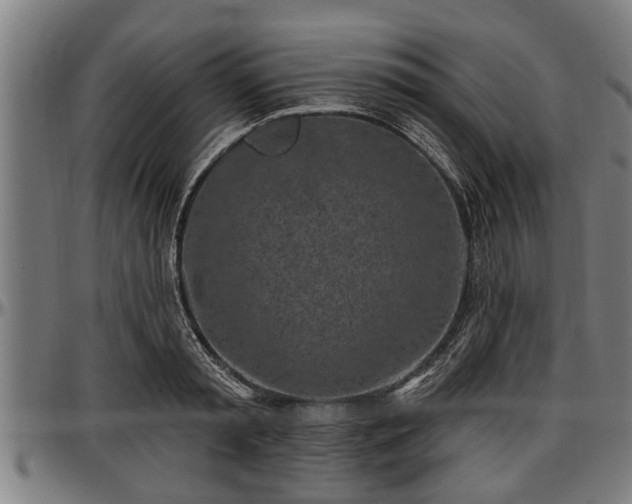 X0000097470797200802291309