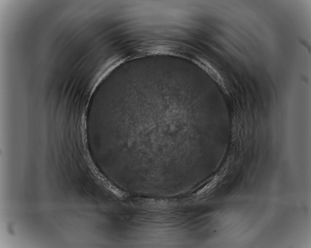 X0000097470798200802291309