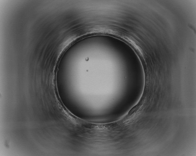 X0000097470799200802291309