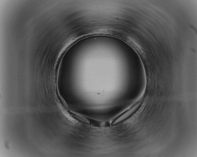 X0000097470800200802291309