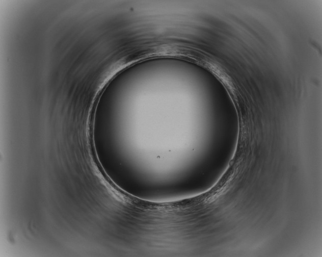 X0000097470803200802291309