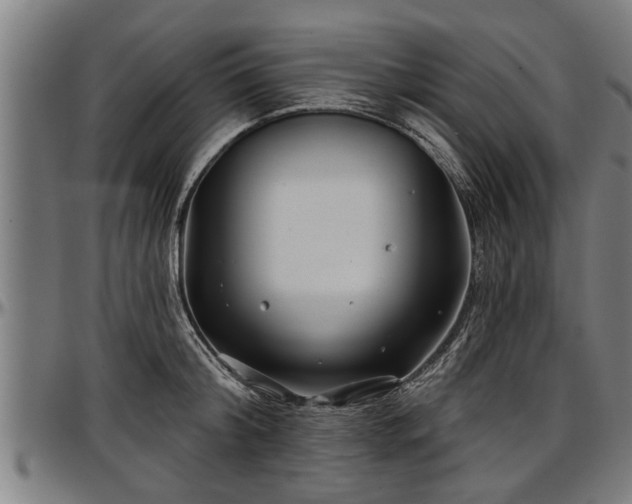 X0000097470804200802291309
