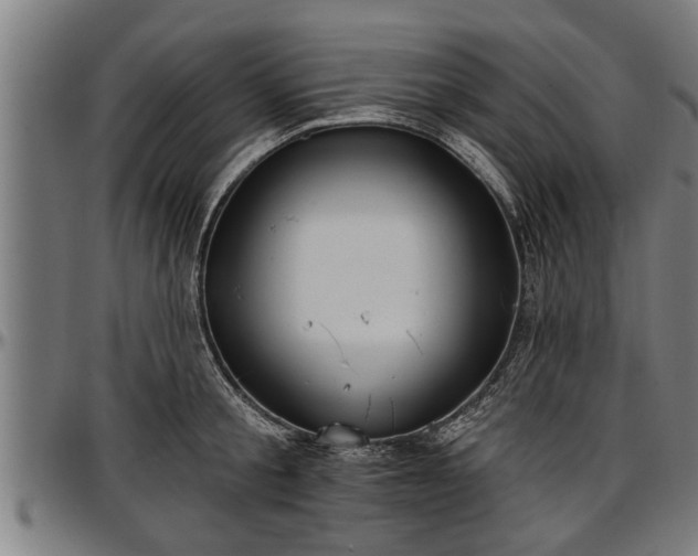 X0000097470805200802291309