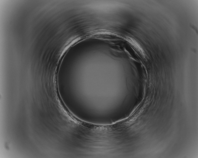 X0000097470806200802291309