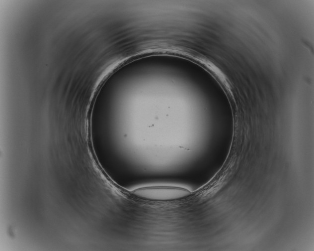 X0000097470807200802291309