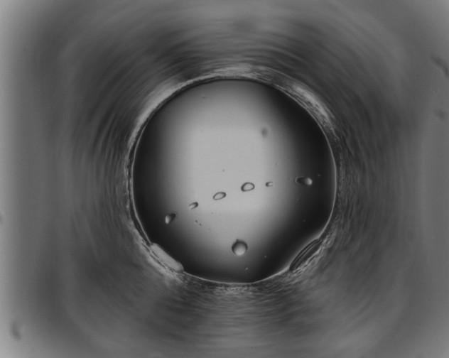 X0000097470808200802291309